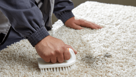 Professional Rug Cleaning Blairgowrie